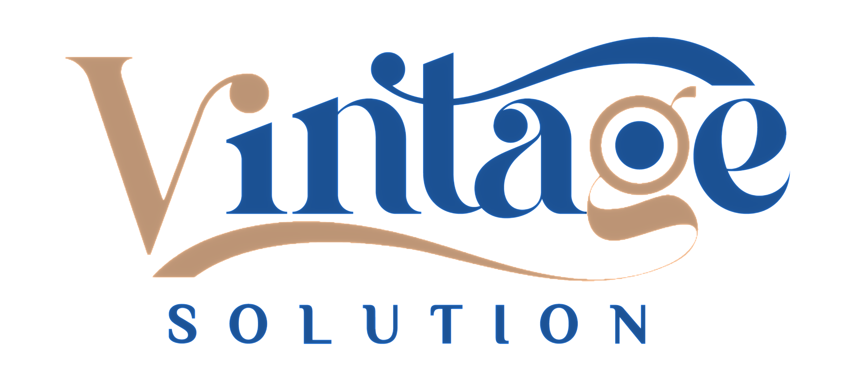 vintagesolution.net